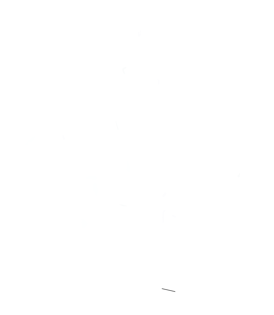 living in the cracks of the welfare state: film screening and conversation